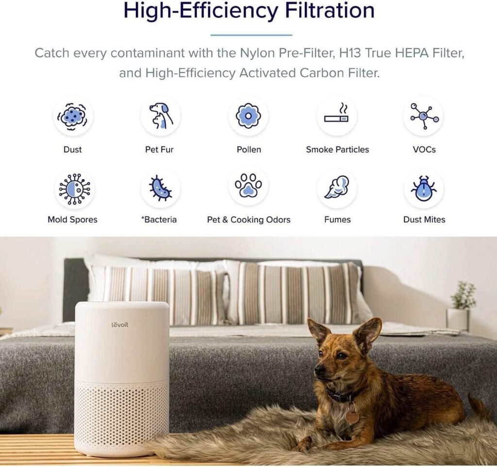 Filtration- H13 True HEPA Power